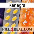 Kanagra new05